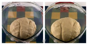 Semlor bun dough prior and after rise. Semlor bun dough prior and after rise.