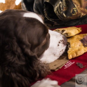 Chloe dog chowing down on the Pasties. Chloe dog chowing down on the Pasties.