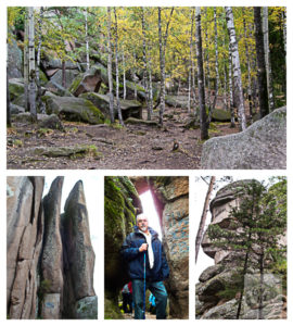 A collage of images from my hike in the Siberian hills. A collage of images from my hike in the Siberian hills.