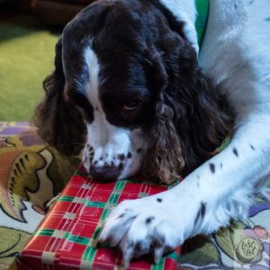 Chloe with here Christmas gift. Chloe with here Christmas gift.