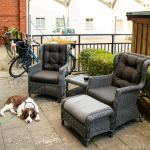 Herb'n' garden lounge chairs. Herb'n' garden lounge chairs.