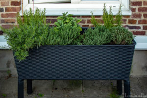 Our herb'n' garden herb box. Our herb'n' garden herb box.