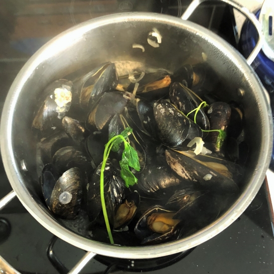 Mussels after steaming. Mussels after steaming.