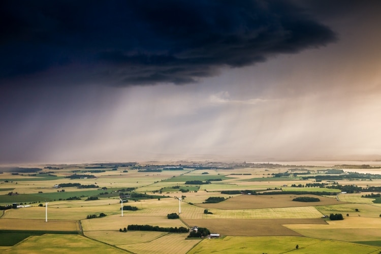 Wheat fields of Southern Skane
